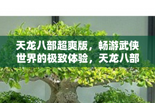 天龙八部超爽版,畅游武侠世界的极致体验,天龙八部超爽版,畅游武侠世界的极致体验 天龙八部超爽版,畅游武侠世界的极致体验,天龙八部超爽版,畅游武侠世界的极致体验