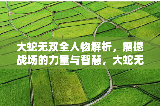 大蛇无双全人物解析，震撼战场的力量与智慧，大蛇无双全人物深度解析，战场上的力量与智慧震撼展现