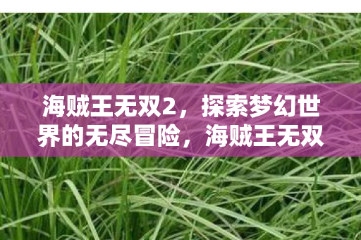 海贼王无双2,探索梦幻世界的无尽冒险,海贼王无双2,探索梦幻世界的无尽冒险 海贼王无双2,探索梦幻世界的无尽冒险,海贼王无双2,探索梦幻世界的无尽冒险