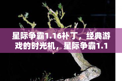 星际争霸1.16补丁，经典游戏的时光机，星际争霸1.16补丁，经典游戏的时光机再现