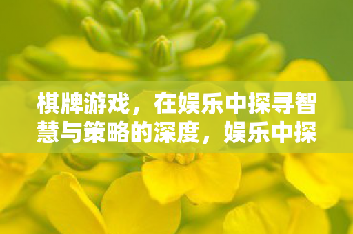 棋牌游戏,在娱乐中探寻智慧与策略的深度,娱乐中探寻智慧与策略的深度,棋牌游戏体验 棋牌游戏,在娱乐中探寻智慧与策略的深度,娱乐中探寻智慧与策略的深度,棋牌游戏体验