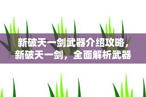 新破天一剑武器介绍攻略,新破天一剑,全面解析武器系统 新破天一剑武器介绍攻略,新破天一剑,全面解析武器系统