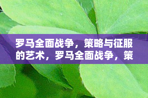 罗马全面战争，策略与征服的艺术，罗马全面战争，策略与征服的艺术