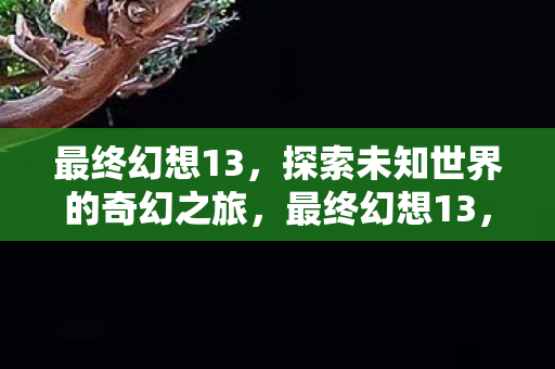 最终幻想13，探索未知世界的奇幻之旅，最终幻想13，探索未知世界的奇幻之旅