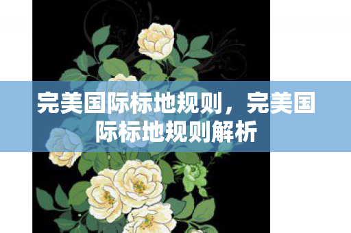 完美国际标地规则,完美国际标地规则解析 完美国际标地规则,完美国际标地规则解析