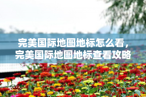 完美国际地图地标怎么看,完美国际地图地标查看攻略 完美国际地图地标怎么看,完美国际地图地标查看攻略