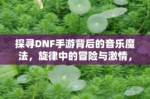 探寻DNF手游背后的音乐魔法图片