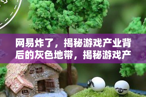 网易炸了，揭秘游戏产业背后的灰色地带，揭秘游戏产业背后的灰色地带，网易事件引发关注