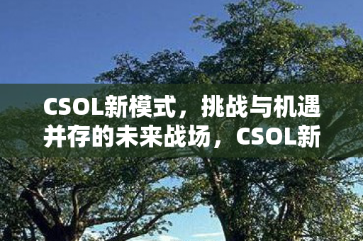 CSOL新模式，挑战与机遇并存的未来战场，CSOL新模式，未来战场，挑战与机遇并存