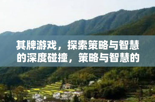 其牌游戏,探索策略与智慧的深度碰撞,策略与智慧的碰撞,其牌游戏探索之旅 其牌游戏,探索策略与智慧的深度碰撞,策略与智慧的碰撞,其牌游戏探索之旅