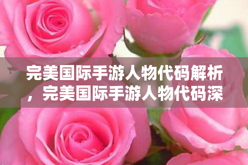 完美国际手游人物代码解析，完美国际手游人物代码深度解析