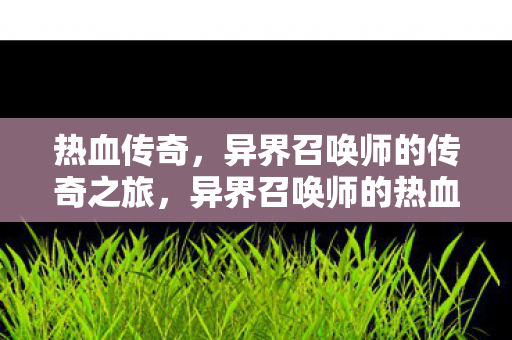 异界召唤师的热血传奇之旅图片