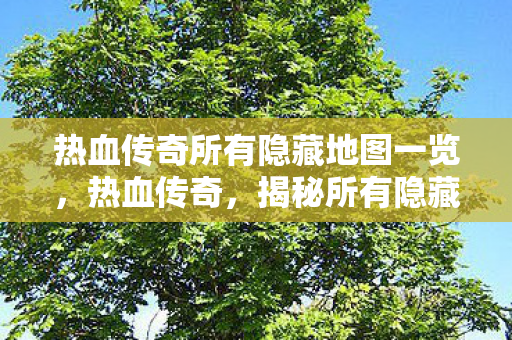 热血传奇所有隐藏地图一览,热血传奇,揭秘所有隐藏地图 热血传奇所有隐藏地图一览,热血传奇,揭秘所有隐藏地图