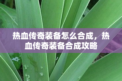热血传奇装备怎么合成,热血传奇装备合成攻略 热血传奇装备怎么合成,热血传奇装备合成攻略