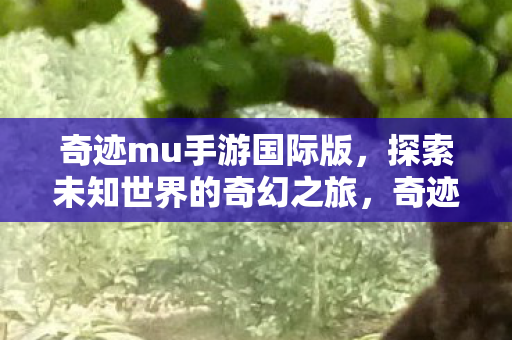奇迹mu手游国际版,探索未知世界的奇幻之旅,奇迹mu手游国际版,探索未知世界的奇幻之旅 奇迹mu手游国际版,探索未知世界的奇幻之旅,奇迹mu手游国际版,探索未知世界的奇幻之旅