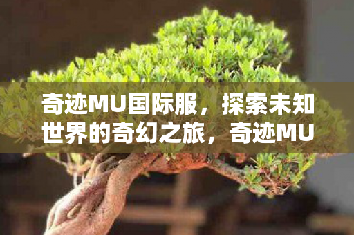 奇迹MU国际服,探索未知世界的奇幻之旅,奇迹MU国际服,探索未知世界的奇幻之旅 奇迹MU国际服,探索未知世界的奇幻之旅,奇迹MU国际服,探索未知世界的奇幻之旅