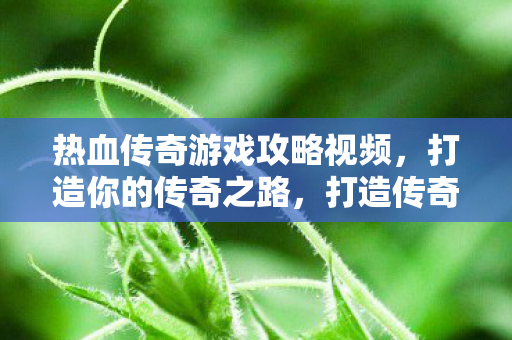 热血传奇游戏攻略视频,打造你的传奇之路,打造传奇之路,热血传奇游戏攻略视频 热血传奇游戏攻略视频,打造你的传奇之路,打造传奇之路,热血传奇游戏攻略视频