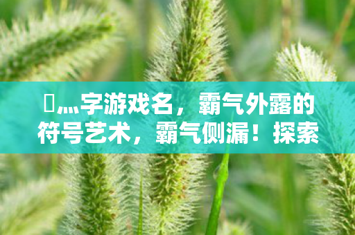乄灬字游戏名，霸气外露的符号艺术，霸气侧漏！探索灬字游戏名的符号艺术