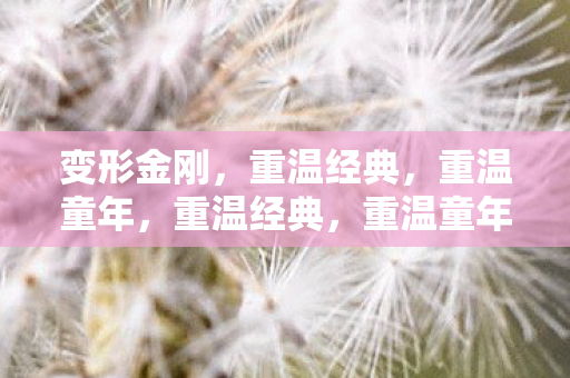 变形金刚,重温经典,重温童年,重温经典,重温童年,变形金刚 变形金刚,重温经典,重温童年,重温经典,重温童年,变形金刚