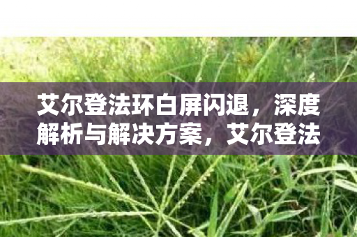 艾尔登法环白屏闪退问题深度解析及解决方案图片