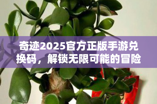 奇迹2025官方正版手游兑换码,解锁无限可能的冒险之旅,奇迹2025手游兑换码,解锁无限冒险之旅 奇迹2025官方正版手游兑换码,解锁无限可能的冒险之旅,奇迹2025手游兑换码,解锁无限冒险之旅