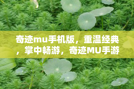 奇迹mu手机版图片