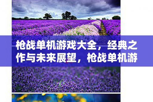 枪战单机游戏大全，经典之作与未来展望，枪战单机游戏大全，经典之作与未来展望