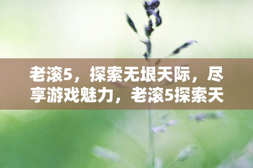 老滚5，探索无垠天际，尽享游戏魅力，老滚5探索天际，尽享游戏魅力