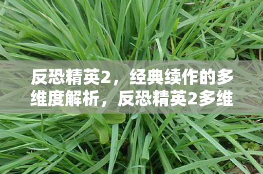 反恐精英2，经典续作的多维度解析，反恐精英2多维度解析，经典续作的魅力与挑战