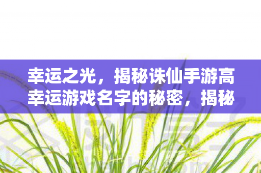 幸运之光,揭秘诛仙手游高幸运游戏名字的秘密,揭秘诛仙手游高幸运游戏名字的秘密 幸运之光,揭秘诛仙手游高幸运游戏名字的秘密,揭秘诛仙手游高幸运游戏名字的秘密