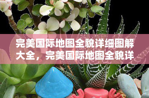 完美国际地图全貌详细图解大全图片