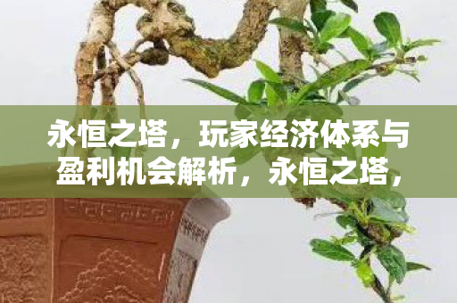 永恒之塔,玩家经济体系与盈利机会解析,永恒之塔,玩家经济体系与盈利机会全解析 永恒之塔,玩家经济体系与盈利机会解析,永恒之塔,玩家经济体系与盈利机会全解析