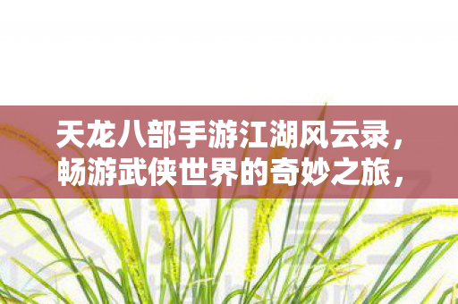 天龙八部手游江湖风云录，畅游武侠世界的奇妙之旅，天龙八部手游江湖风云录，畅游武侠世界的奇妙之旅