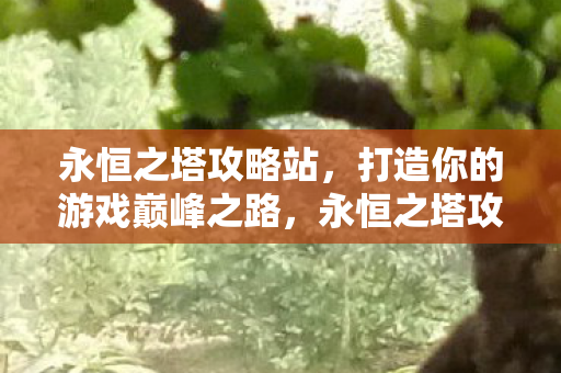 打造你的游戏巅峰之路图片