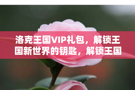 洛克王国VIP礼包,解锁王国新世界的钥匙,解锁王国新世界,洛克王国VIP礼包全解析 洛克王国VIP礼包,解锁王国新世界的钥匙,解锁王国新世界,洛克王国VIP礼包全解析