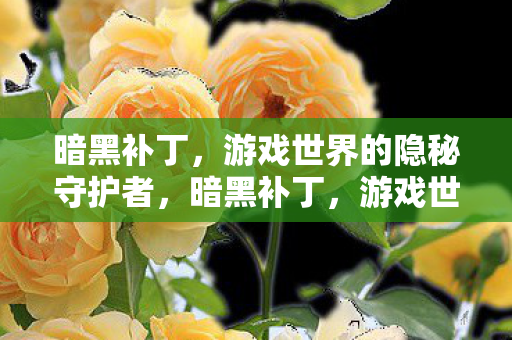 暗黑补丁，游戏世界的隐秘守护者，暗黑补丁，游戏世界的隐秘守护者
