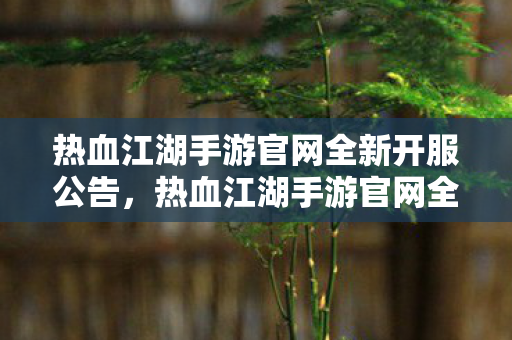 热血江湖手游官网全新开服公告,热血江湖手游官网全新开服公告发布 热血江湖手游官网全新开服公告,热血江湖手游官网全新开服公告发布
