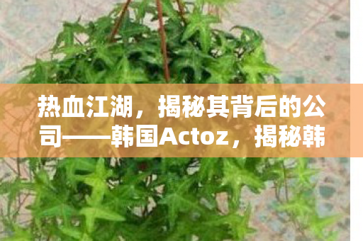热血江湖，揭秘其背后的公司——韩国Actoz，揭秘韩国Actoz，打造热血江湖的幕后推手