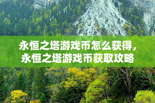 永恒之塔游戏币怎么获得图片