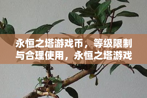 等级限制与合理使用策略图片