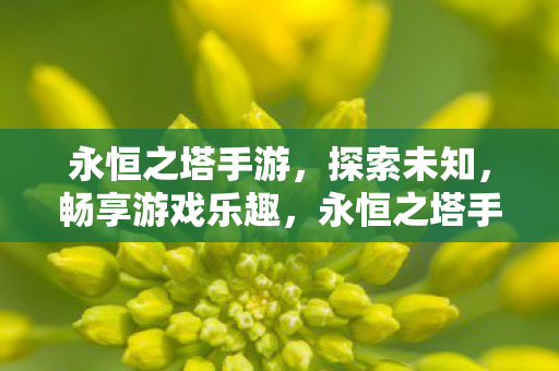永恒之塔手游图片