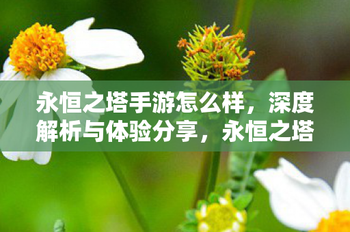 永恒之塔手游怎么样图片