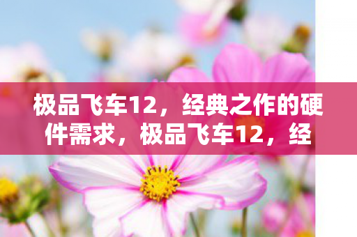 极品飞车12，经典之作的硬件需求，极品飞车12，经典之作的硬件需求解析