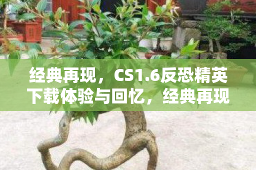 经典再现,CS1.6反恐精英下载体验与回忆,经典再现,CS1.6反恐精英下载体验与回忆 经典再现,CS1.6反恐精英下载体验与回忆,经典再现,CS1.6反恐精英下载体验与回忆
