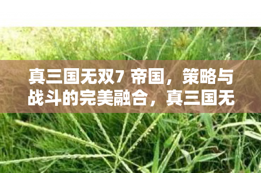 真三国无双7 帝国，策略与战斗的完美融合，真三国无双7 帝国，策略与战斗的完美融合