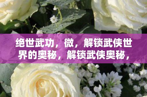 绝世武功,微,解锁武侠世界的奥秘,解锁武侠奥秘,绝世武功的微妙之处 绝世武功,微,解锁武侠世界的奥秘,解锁武侠奥秘,绝世武功的微妙之处
