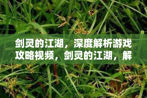 深度解析游戏攻略视频图片