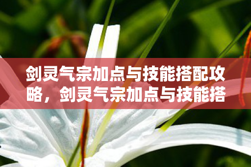 剑灵气宗加点与技能搭配全解析图片