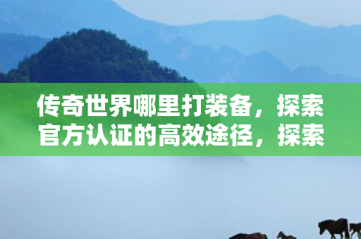 传奇世界哪里打装备,探索官方认证的高效途径,探索传奇世界官方认证的高效装备获取途径 传奇世界哪里打装备,探索官方认证的高效途径,探索传奇世界官方认证的高效装备获取途径