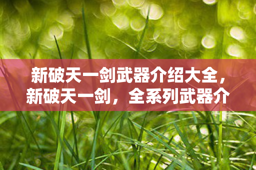 新破天一剑武器介绍大全,新破天一剑,全系列武器介绍 新破天一剑武器介绍大全,新破天一剑,全系列武器介绍